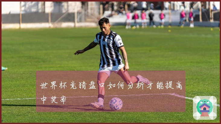 世界杯竞猜盘口如何分析才能提高中奖率