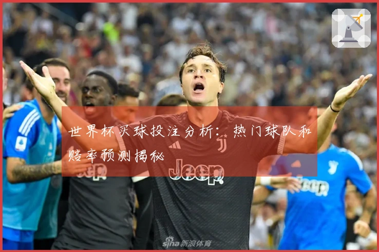 世界杯买球投注分析：热门球队和赔率预测揭秘