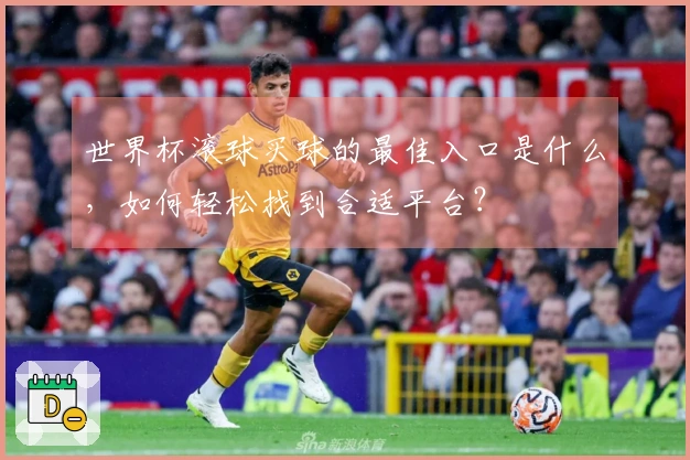 世界杯滚球买球的最佳入口是什么，如何轻松找到合适平台？