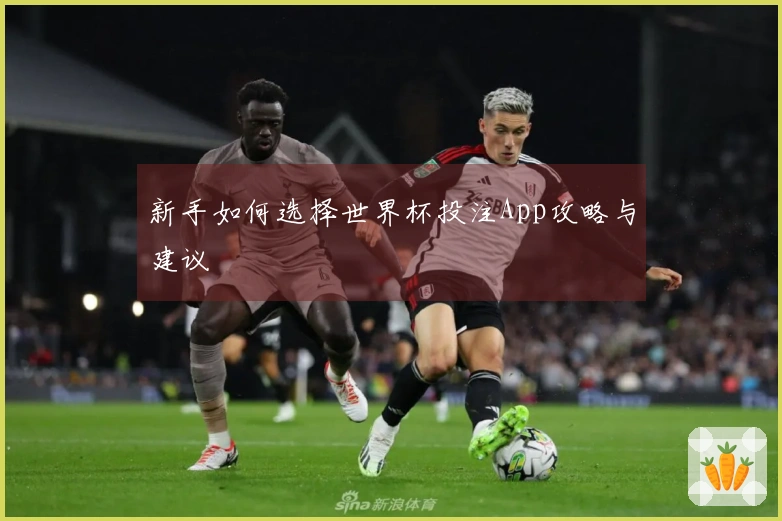 新手如何选择世界杯投注App攻略与建议