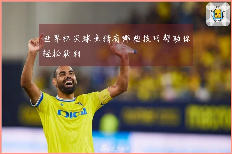 世界杯买球竞猜有哪些技巧帮助你轻松获利