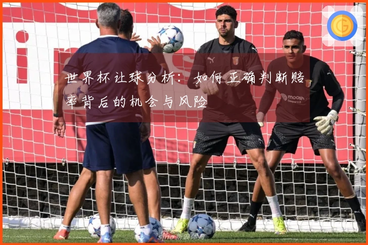 世界杯让球分析：如何正确判断赔率背后的机会与风险