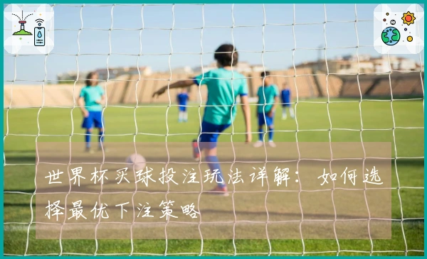 世界杯买球投注玩法详解：如何选择最优下注策略