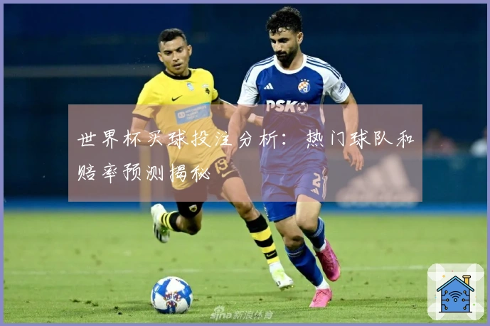 世界杯买球投注分析：热门球队和赔率预测揭秘
