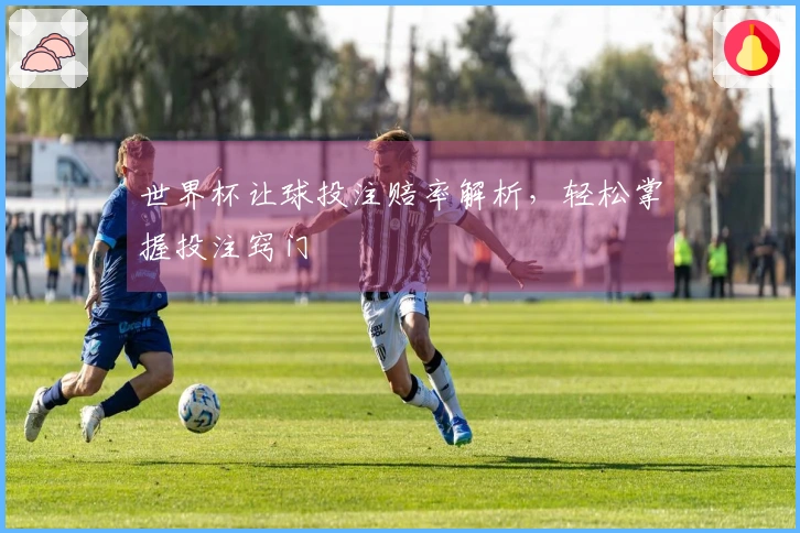 世界杯让球投注赔率解析，轻松掌握投注窍门