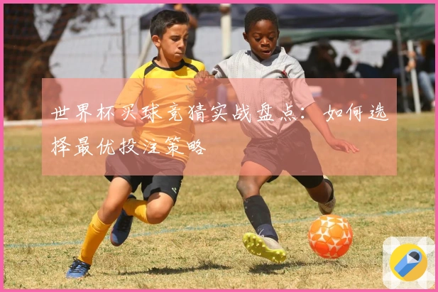 世界杯买球竞猜实战盘点：如何选择最优投注策略