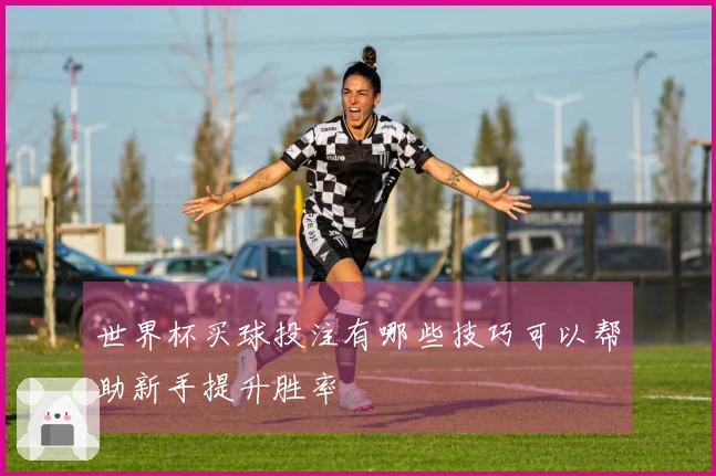 世界杯买球投注有哪些技巧可以帮助新手提升胜率